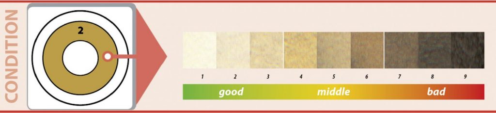 Benzin condition